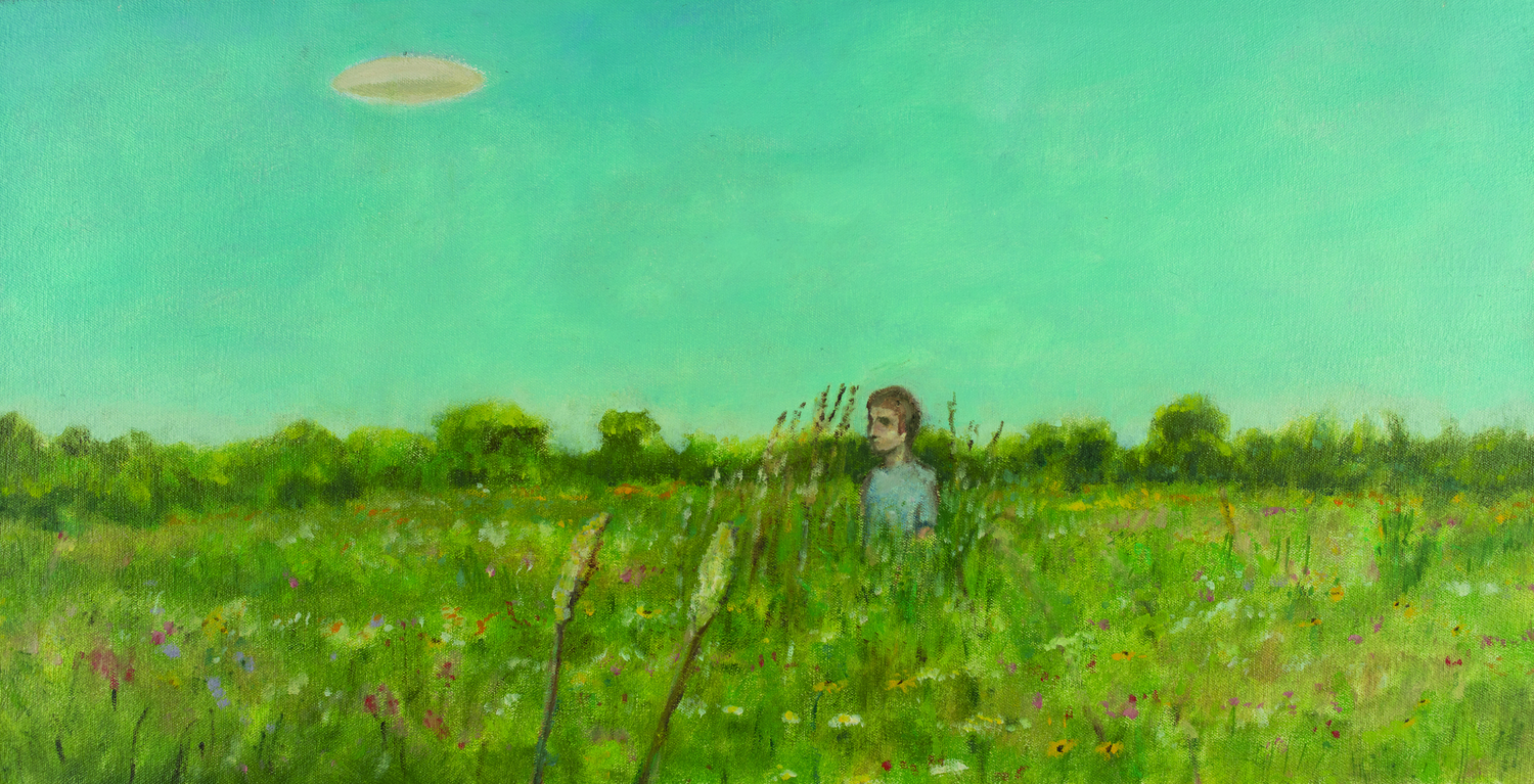 Young David in field with UFO above